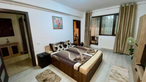 Weiner Studio Apartament with balcony
